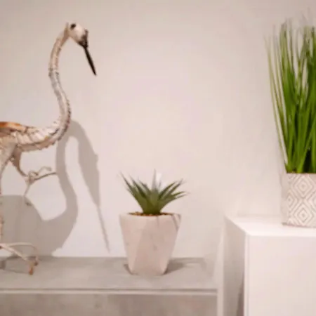 La Casa Di Andre Apartment